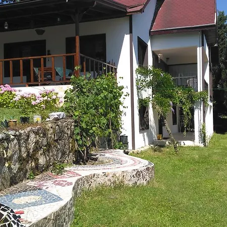 Country Yanik Sakarya